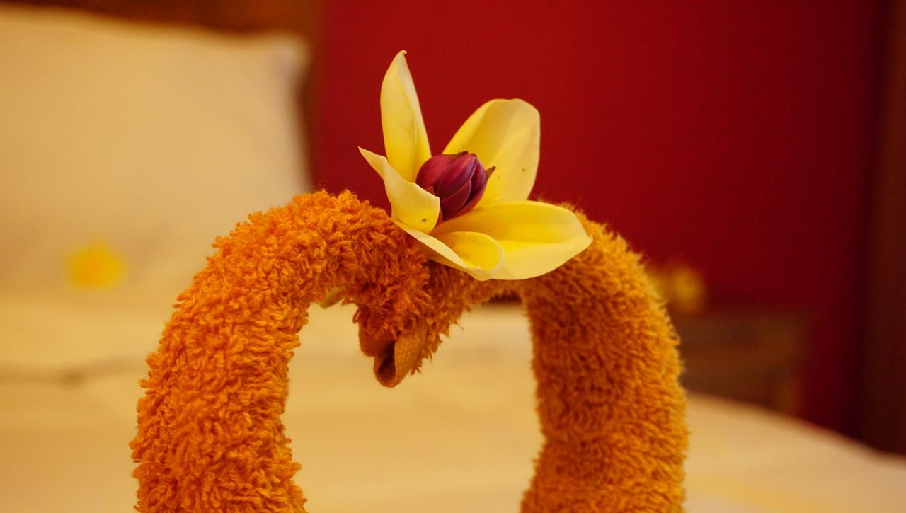 Nyuh Gading Accommodation Ubud ภายนอก รูปภาพ